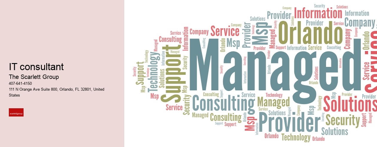 IT consultant