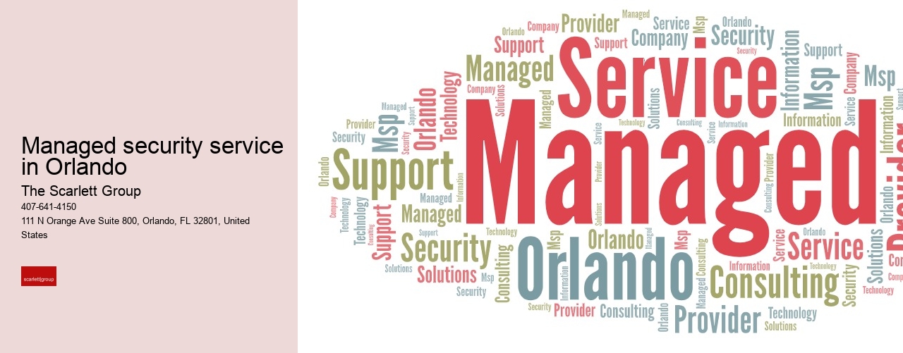 Managed security service in Orlando