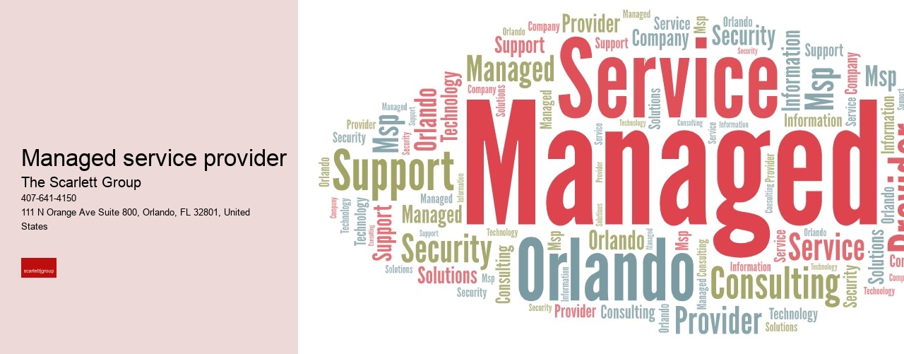 Managed service provider